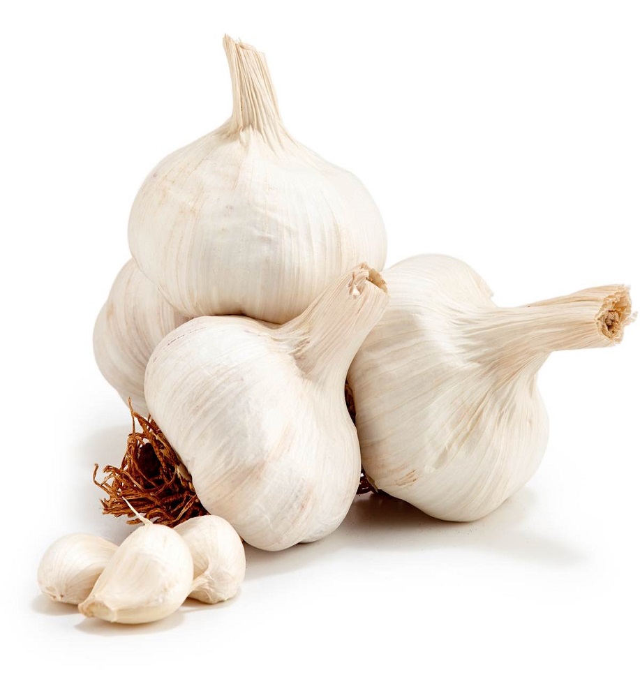 White Garlic