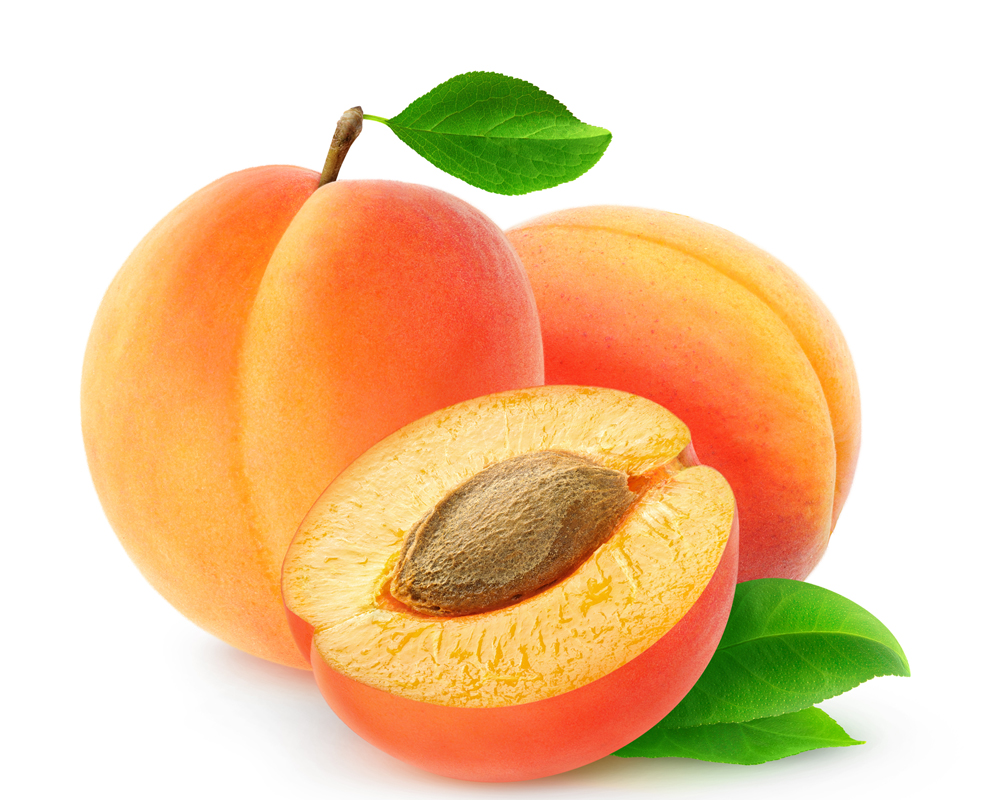 Apricot